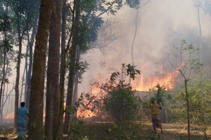 দৌলতপুরে অগ্নিকান্ডে ১৫০০ পিলি পান বরজ পুড়ে ছাই
