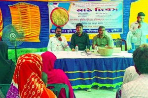 খোকসায় বোরো ধানের মাঠ দিবস অনুষ্ঠিত 