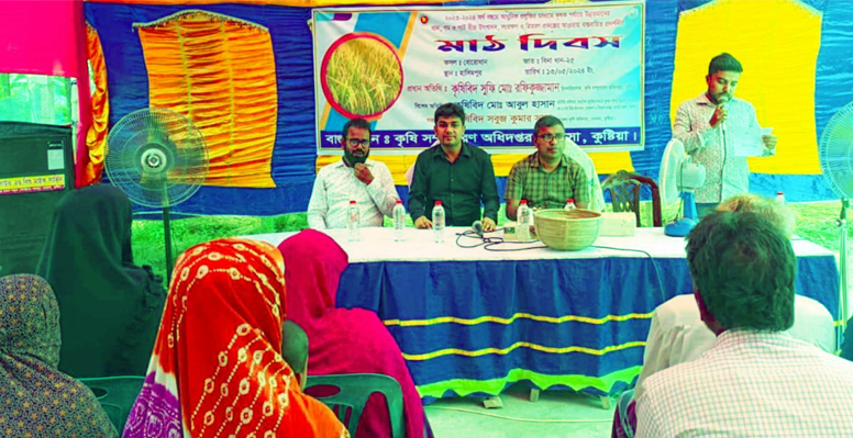 খোকসায় বোরো ধানের মাঠ দিবস অনুষ্ঠিত 