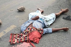 কুষ্টিয়া সড়ক দুর্ঘটনায় পাখি ভ্যান চালকের মৃত্যু