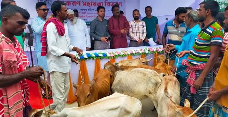 কুমারখালীতে মৎস্যজীবিদের মাঝে বকনা বাছুর বিতরণ