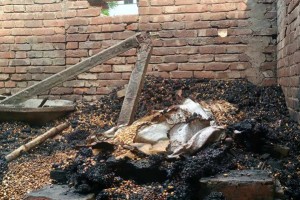 দৌলতপুরে আগুনে পুড়ে ছাই হলো ব্যবসায়ীর ১২ লাখ টাকা 