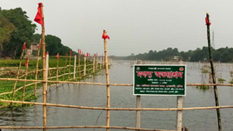 অভয়াশ্রমে বাড়ছে দেশি মাছ জেলেদের স্বস্তি