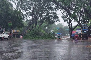 ঝড়-বাতাসেও চলছে ইবির ক্লাস-পরীক্ষা ক্ষুদ্ধ শিক্ষার্থীরা