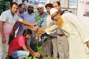 মিরপুর প্রেসক্লাবের উদ্যোগে বৃক্ষরোপন