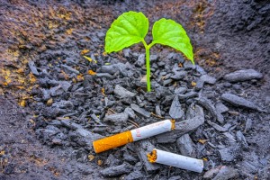 শিশুর বাসযোগ্য দেশ গড়তে তামাককে না বলি স্মার্ট বাংলাদেশ গড়াই ভূমিকা রাখি