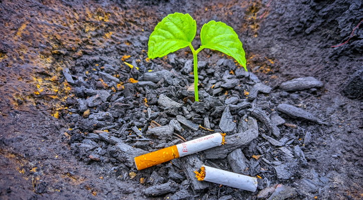 শিশুর বাসযোগ্য দেশ গড়তে তামাককে না বলি স্মার্ট বাংলাদেশ গড়াই ভূমিকা রাখি