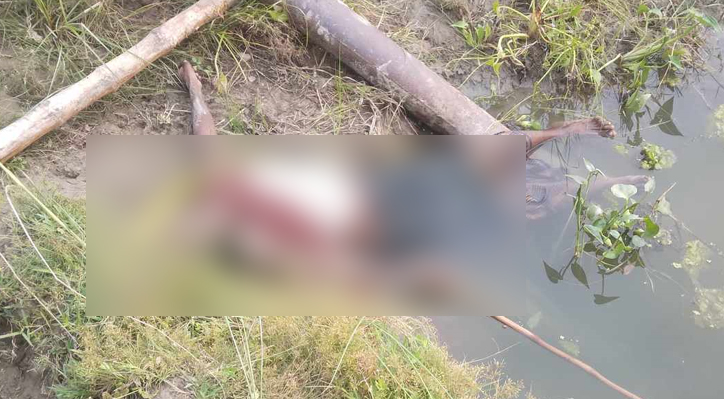 দৌলতপুরে বিদ্যুৎপৃষ্ট হয়ে কৃষকের মৃত্যু 