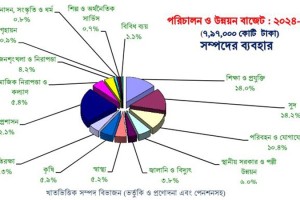 একনজরে ২০২৪-২৫ অর্থবছরের বাজেট