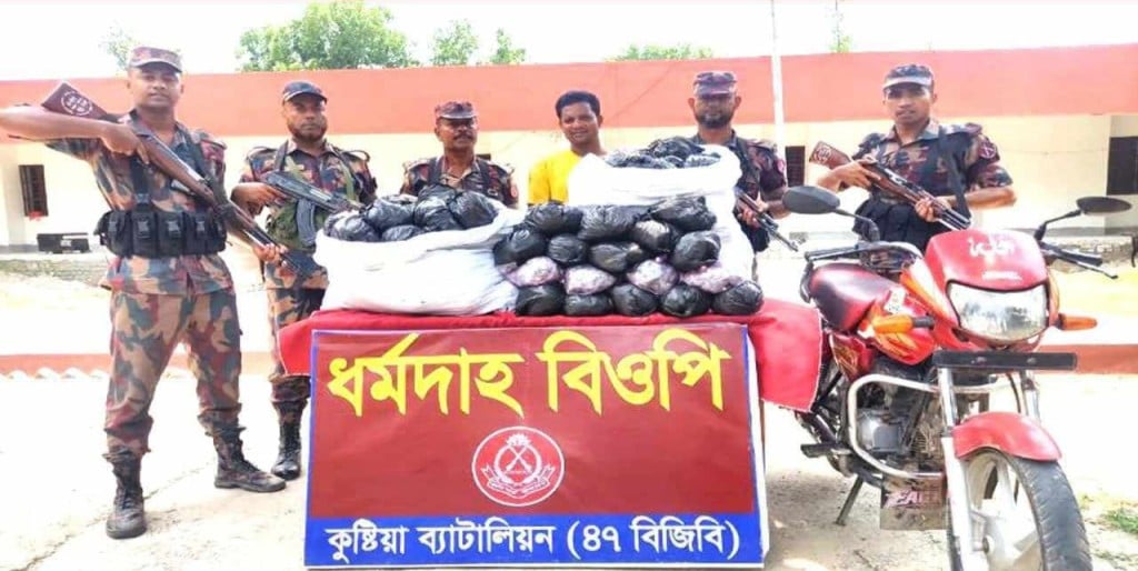 173867974667a225c2a9036 দৌলতপুর সীমান্তে ২১ হাজার পিস আতশবাজি সহ কারবারি আটক