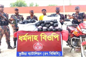 দৌলতপুর সীমান্তে ২১ হাজার পিস আতশবাজি সহ কারবারি আটক