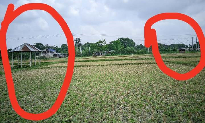 বিএডিসি’র নিয়ম উপেক্ষা করে সেচ পাম্প স্থাপনের অভিযোগ 