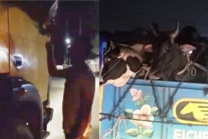 কুমারখালীতে গরুর ট্রাক থামিয়ে চাঁদা আদায়ের অভিযোগ