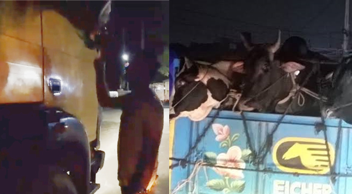 কুমারখালীতে গরুর ট্রাক থামিয়ে চাঁদা আদায়ের অভিযোগ