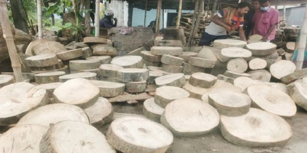 কুষ্টিয়ায় ঈদুল আজহা উপলক্ষ্যে বেড়েছে কাঠের গুড়ির চাহিদা