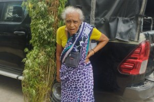 কুষ্টিয়ায় বৃদ্ধা মাদক বিক্রেতা গ্রেফতার