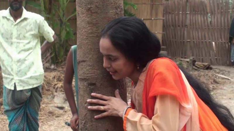 কেটে ফেলা হয়েছে বিতর্কিত সেই গাছ, বিষয়টি ছিল ভূয়া