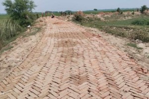 দৌলতপুরে পদ্মার চরে ইটের রাস্তায় বদলে যাচ্ছে ইতিহাস!