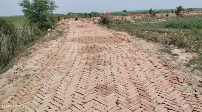 দৌলতপুরে পদ্মার চরে ইটের রাস্তায় বদলে যাচ্ছে ইতিহাস!