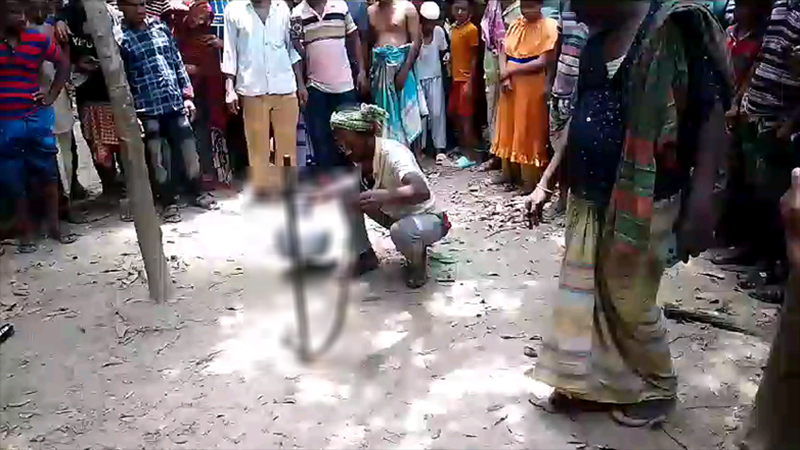 ভেড়ামারায় সাপের কামড়ে গৃহবধূর মৃত্যু