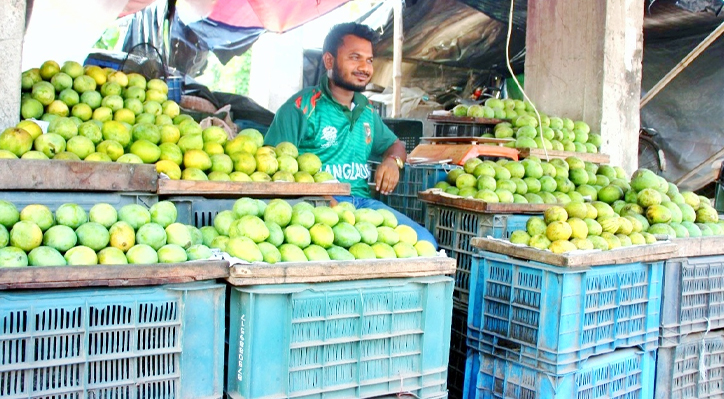 কুমারখালীতে আমের বাজার জমে উঠলেও দাম বেশি