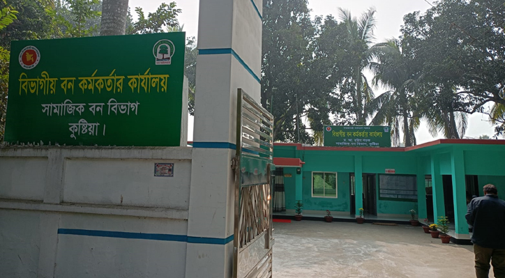 কুষ্টিয়ায় অযৌক্তিক কারণ দেখিয়ে গাছ কাটার পাঁয়তারা