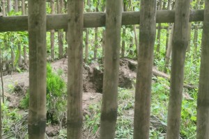 মিরপুরে কবর থেকে নারীর লাশ চুরির অভিযোগ