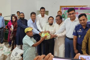 সরকার কৃষক ও কৃষির উন্নয়নে কাজ করে যাচ্ছে : কামারুল এমপি