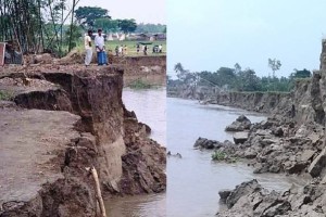 ভেড়ামারায় আকস্মিকভাবে পদ্মা নদীর ভাঙন তীব্র আকার ধারণ