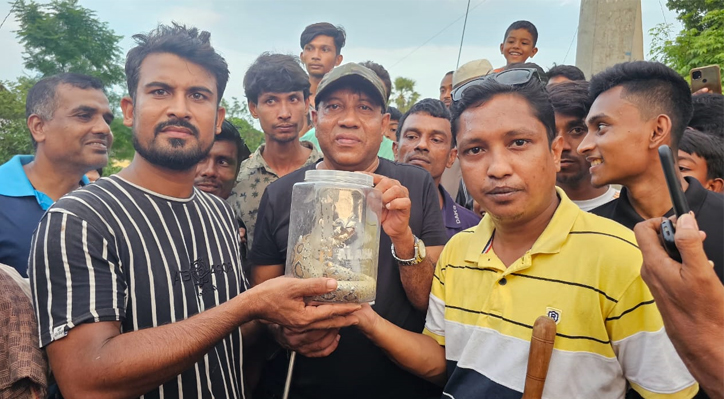 কুষ্টিয়ায় জেলের মাছ ধরা দোয়ারে ধরা পড়লো রাসেলস্ ভাইপার