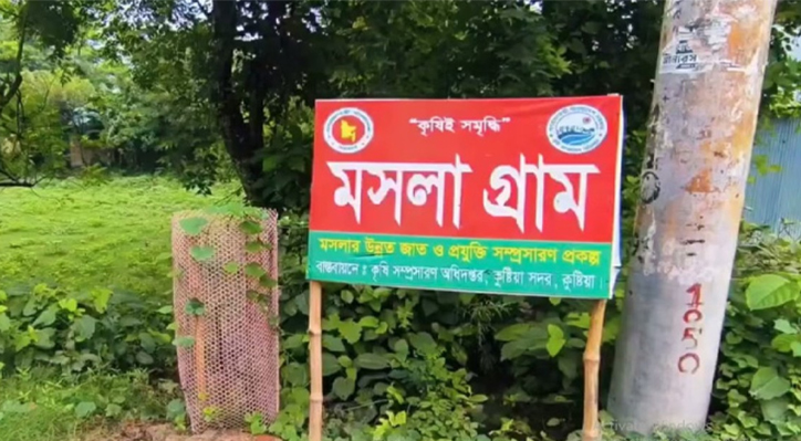 কুষ্টিয়ার মসলা গ্রামে চাষ হচ্ছে ১৪ জাতের মসলা
