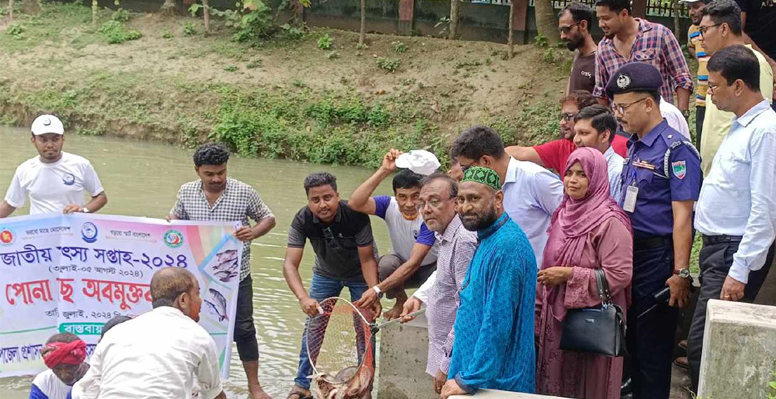 দেশীয় আমিষের অভার পূরণে মাছের কোন বিকল্প নেই: এমপি কামারুল