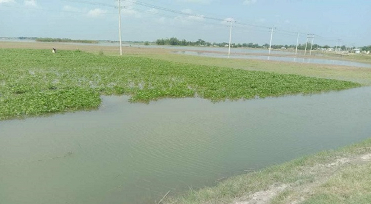 দৌলতপুরে বন্যা আতঙ্কে পদ্মাপাড়ের মানুষ