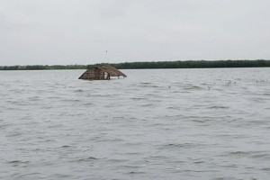 দৌলতপুরে আতঙ্কে পদ্মাপাড়ের লক্ষাধিক মানুষ