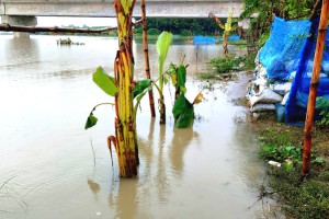 উজান থেকে নেমে আসা ঢলে কুষ্টিয়ায় পদ্মা ও গড়াই নদীতে পানি বাড়ছে