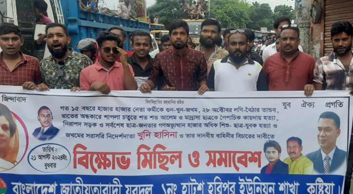 কুষ্টিয়া হাটশ হরিপুর ইউনিয়ন যুবদলের বিক্ষোভ মিছিল