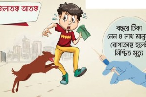 বেওয়ারিশ কুকুরের আতঙ্কে কুমারখালীবাসী
