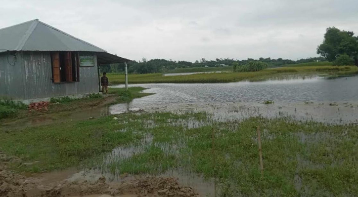 চোখ রাঙাচ্ছে পদ্মা-বন্যা আতঙ্কে দৌলতপুরের পদ্মা পাড়ের মানুষ