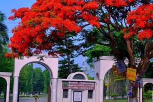 বন্যার্তদের সহায়তায় এক হাজার টাকা করে দেবে ইবির গাড়ি চালকরা