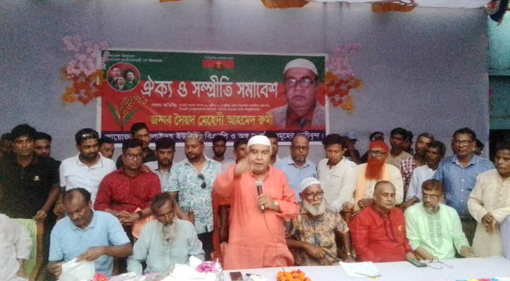 দলের বৃহত্তর স্বার্থে সকলকে ঐক্যবদ্ধ ভাবে কাজ করতে হবে: মেহেদী রুমী