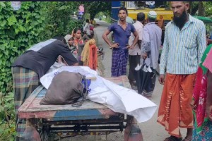 মিরপুরে ট্রেনের ধাক্কায় বৃদ্ধ কৃষকের মৃত্যু 