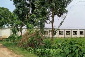 দৌলতপুরের খামারে বেশকিছু সন্দেহজনক গরু রাখার অভিযোগ