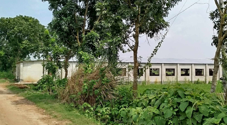 দৌলতপুরের খামারে বেশকিছু সন্দেহজনক গরু রাখার অভিযোগ