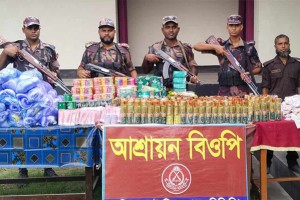 দৌলতপুরে বিজিবি’র অভিযানে ভারতীয় কসমেটিক্স পণ্য ও কারেন্ট জাল উদ্ধার