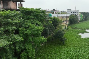 কুষ্টিয়ার আ’লীগ নেতা আতা-তাপস ও ব্যবসায়ীর বিরুদ্ধে নদীর জমি দখলের অভিযোগ