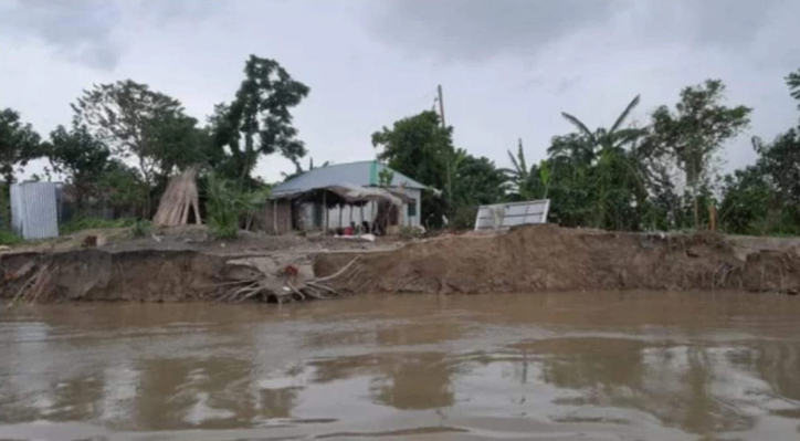 পদ্মা নদীর ভাঙন আতঙ্কে দৌলতপুরের জনজীবন বিপর্যস্ত