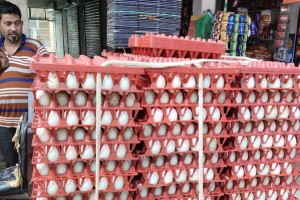 কুমারখালীতে সরকার নির্ধারিত দরে খুচরা বাজারে মিলছে না ডিম