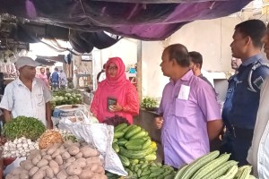 খোকসায় বাজার মনিটরিং করলেন এসিল্যান্ড