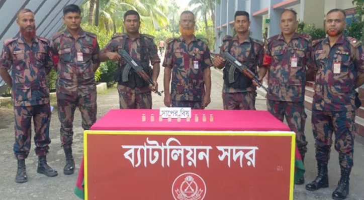 কুষ্টিয়ায় কোটি টাকার সাপের বিষ উদ্ধার