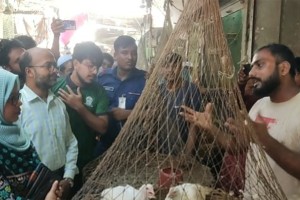 কুষ্টিয়ায় পলিথিন ব্যাগ ব্যবহার করায় ৬ ব্যবসায়ীকে জরিমানা